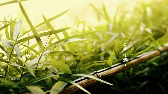 QQ鍥剧墖20170524095313.jpg QQ鍥剧墖20170524095313.jpg